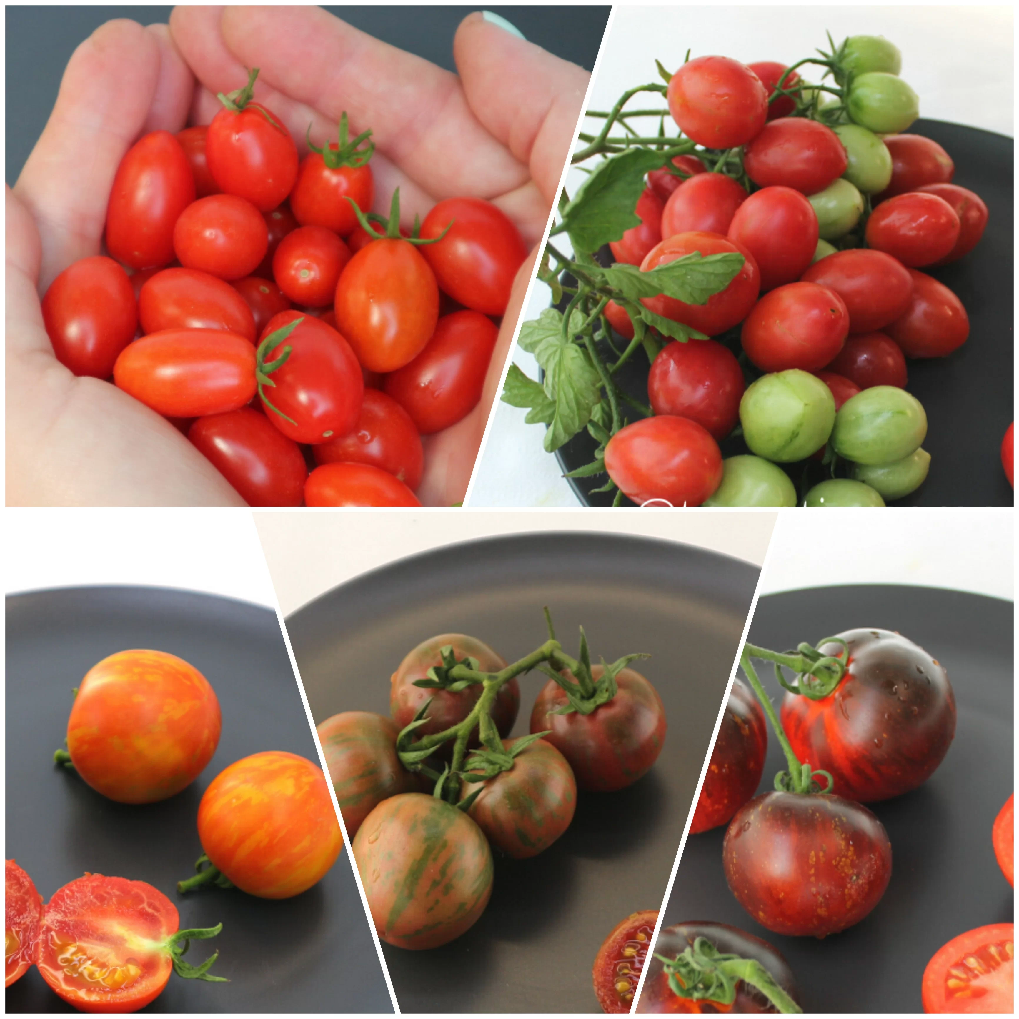 Набор томатов черри