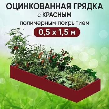 Грядка красная (0,5 х 1,5)