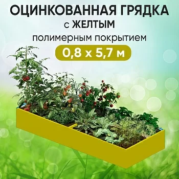 Грядка желтая (0,8 х 5,7)