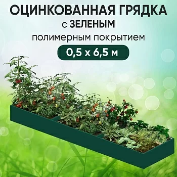 Грядка зеленая (0,5 х 6,5)
